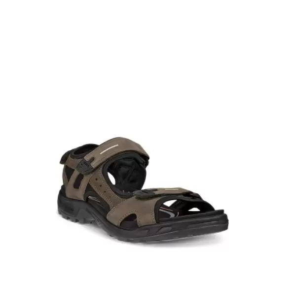 TARMAC/TARM Ecco Offroad Mens Sports Sandal 069564 55894 - Ecco Sandaler - 194891585187