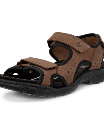 Brun Ecco Hike Herre Mænd Sandal Cocoa Brown Sandaler - Ecco Sandaler  - 194891891288