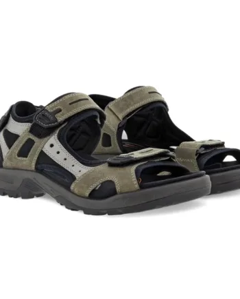 Ecco Offroad Yucatan Herre Mænd Sandal Vetiver Dove Sandaler - Ecco Sandaler  - 737428584781